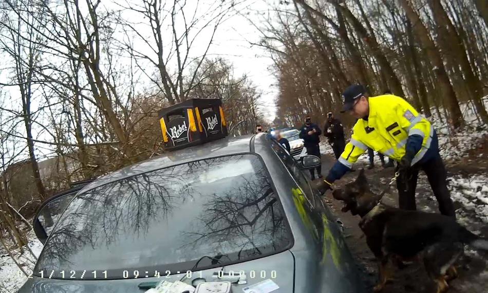 Služební pes prověřuje  vozidlo